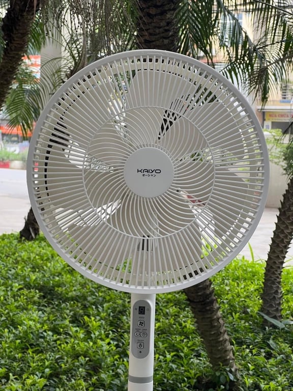Quạt cây 7 cánh điều khiển từ xa Kaiyo Nhật 2024