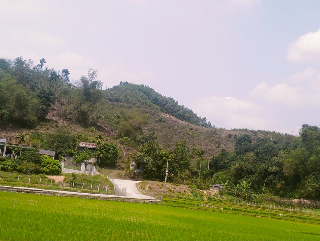 Lô góc hai mặt tiền siêu đẹp hơn 1000m2 có 700m2 thổ cư tại Kim Bôi, Hoà Bình