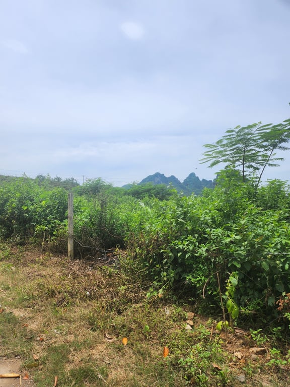 khu 6, Thị trấn Cao Phong, Hòa Bình (2700m2-150m2 thổ cư)