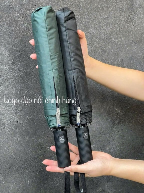 Ô gấp tự động 2 chiều 10 nan kaiyo