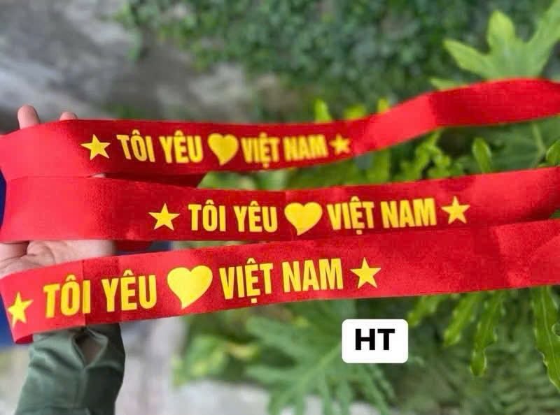 Set 10 băng đô “Tôi yêu Việt Nam"