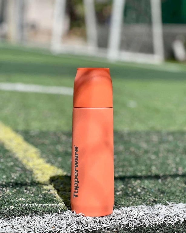 Bình giữ nhiệt tupp Buddy 520ml