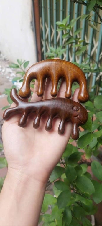 LƯỢC GỖ MANAGER