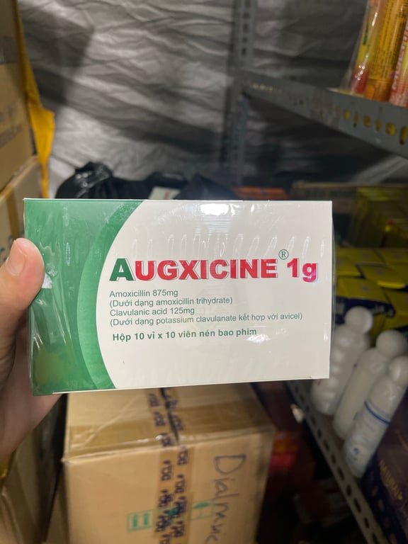 Augxicin 1g h/100v