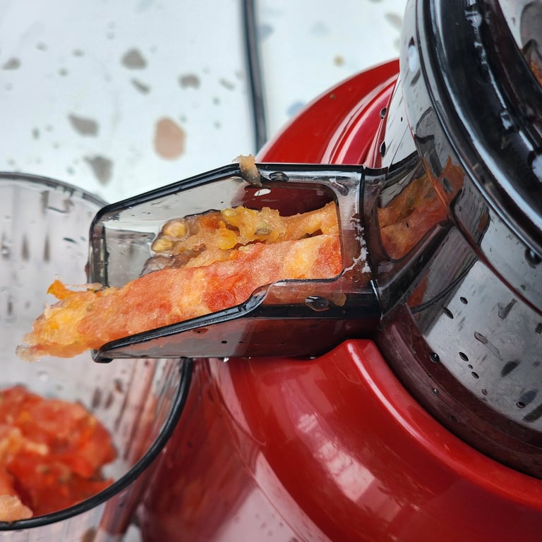 MÁY ÉP CHẬM BENNIX BN-09SJ