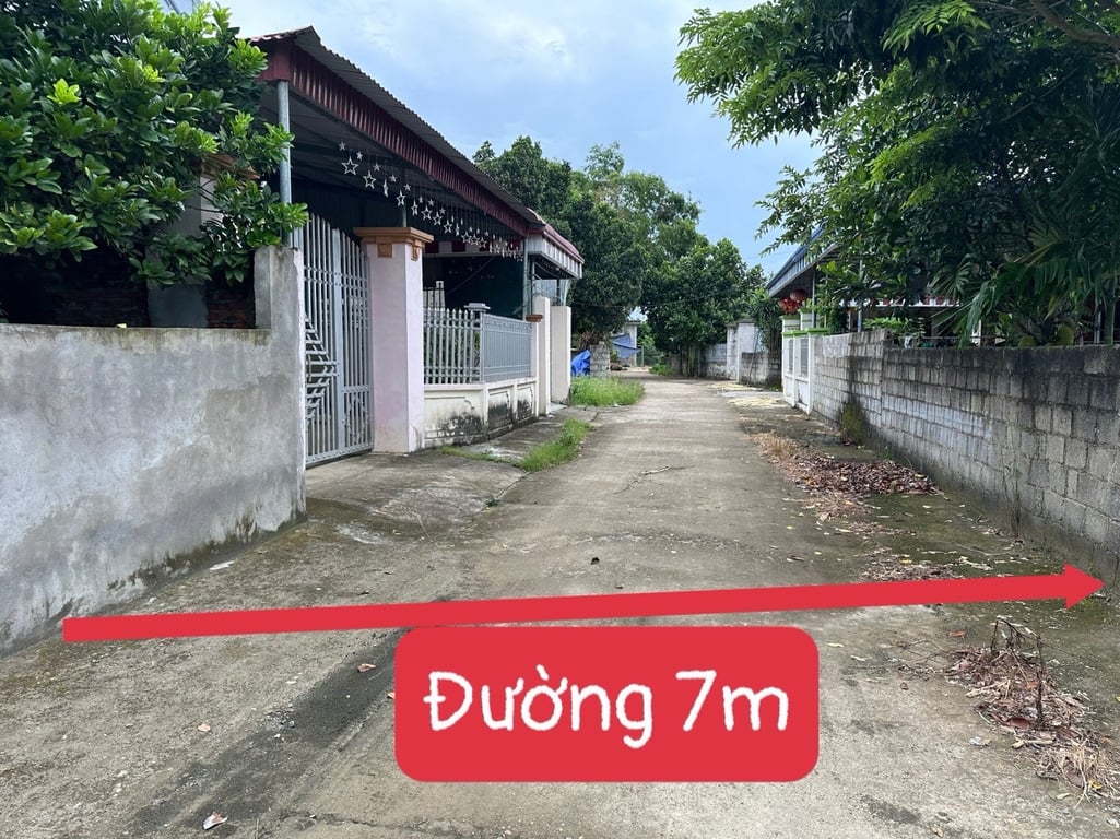 798m2 có 400m2 thổ cư tại Phú Thành, Lạc Thuỷ, Hoà Bình