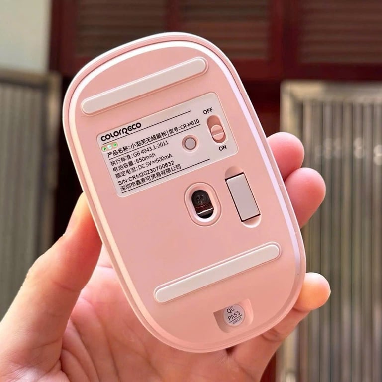 CHUỘT KHÔNG DÂY COLORRECO