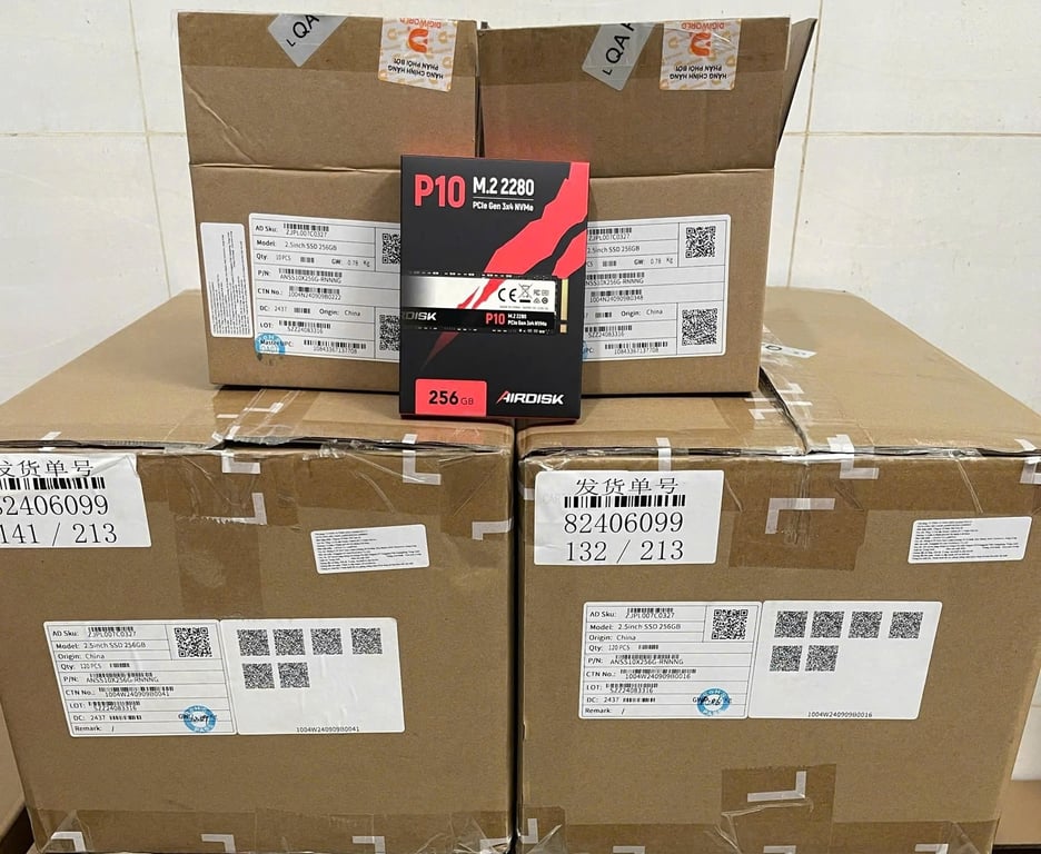 Ổ Cứng Máy Tính SSD Airdisk P10 M.2 2280 PCIe Gen 3x4 NVMe 256GB - (ANMP10X256GRNNNG)