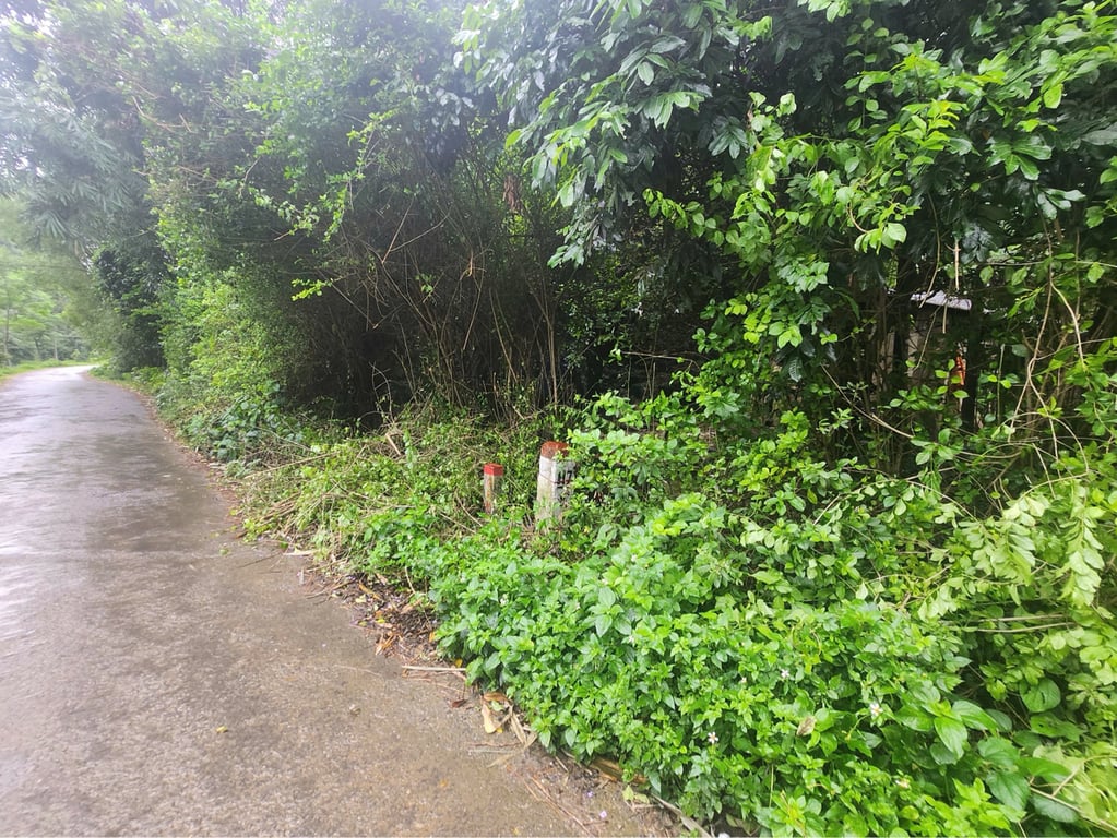 Diện tích 611m2, 80m2 ONT, tặng thêm sổ đất lúa Tại Phú Cường, Tân Lạc, Hòa Bình