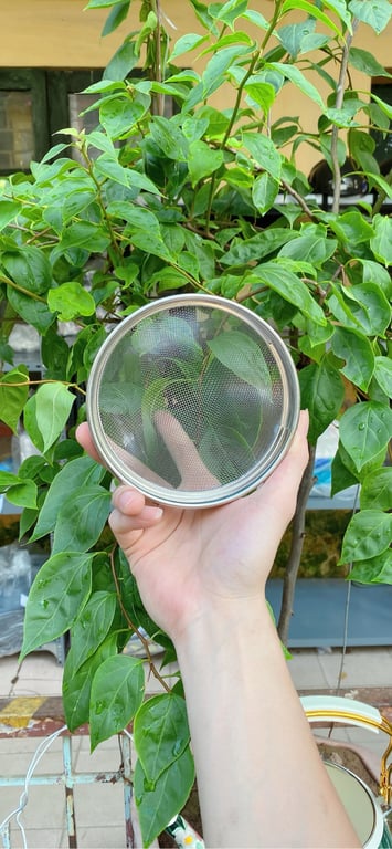 🌷 🌷 🌷 ẤM HOA TRÁNG MEN  3.3L❤️