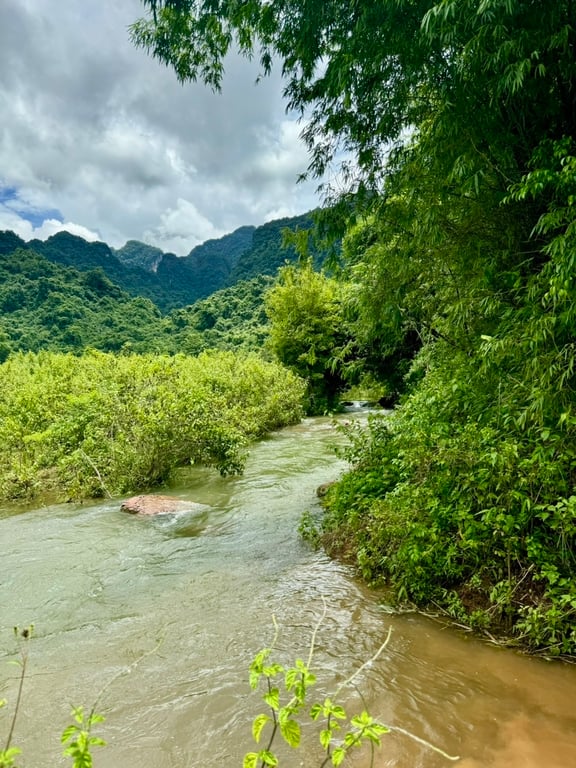 ~ 1400m2 có 200m2 ONT tại Mỹ Hòa, Tân Lạc, Hòa Bình