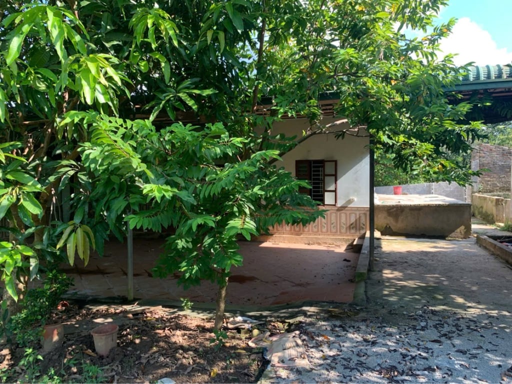 Diện tích 1891m2 có 537m2 thổ cư tại Bắc Phong, Cao Phong