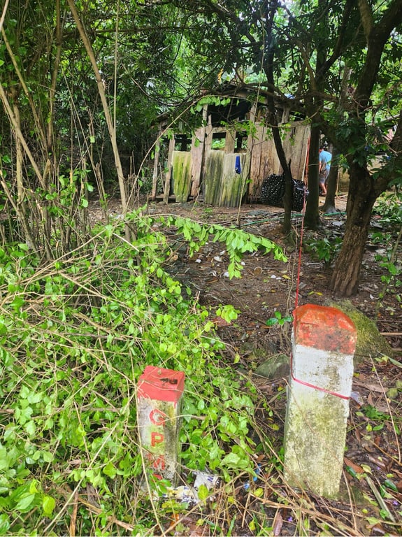 Diện tích 611m2, 80m2 ONT, tặng thêm sổ đất lúa Tại Phú Cường, Tân Lạc, Hòa Bình