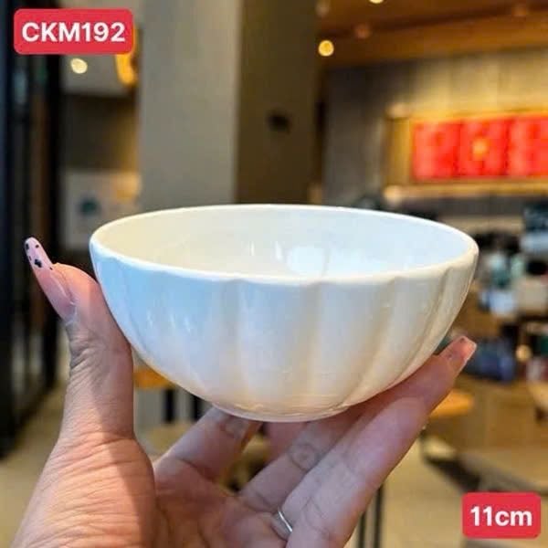 Hộp 6 bát sứ xương cao cấp 11cm - CKM192