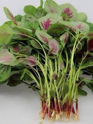 Hạt giống rau dền gói 50g