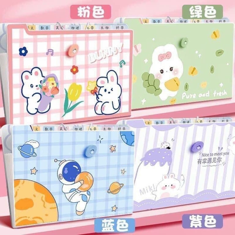 TÚI ĐỰNG TÀI LIỆU BÀI KIỂM TRA