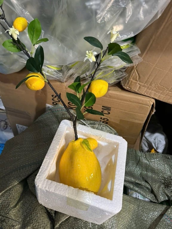 Cành chanh mỹ  kèm lọ xinh ơi là xinh