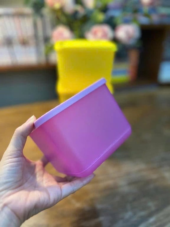 TUP11 - Set 4 hộp Tupperware ngăn mát dung tích 1000ml, mix màu