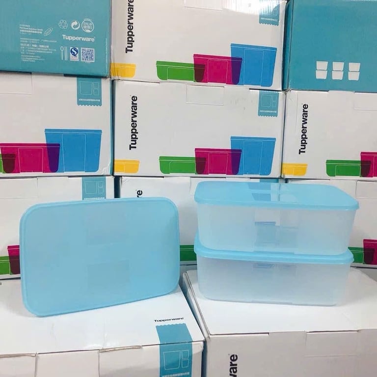 SET 6 HỘP TRỮ ĐÔNG TUPPERWARE 1.7L