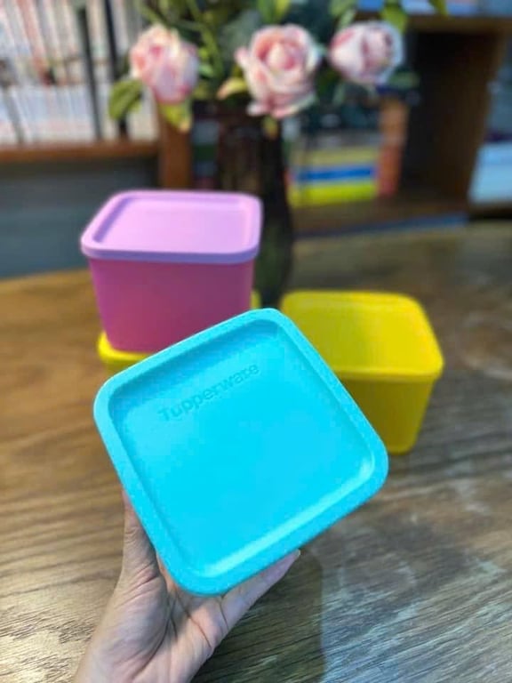 TUP11 - Set 4 hộp Tupperware ngăn mát dung tích 1000ml, mix màu