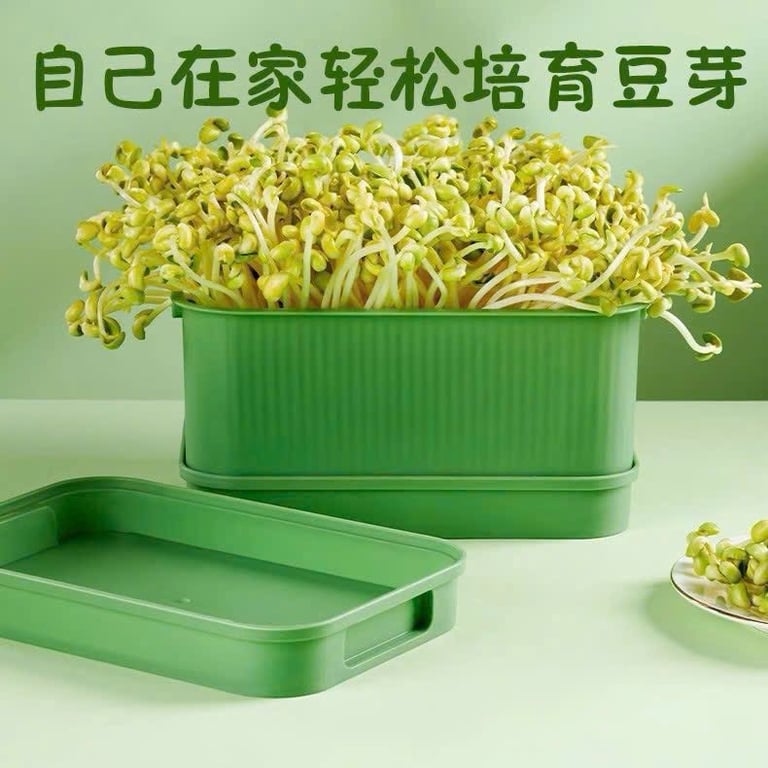 Set 2c Khay ươm mầm mini