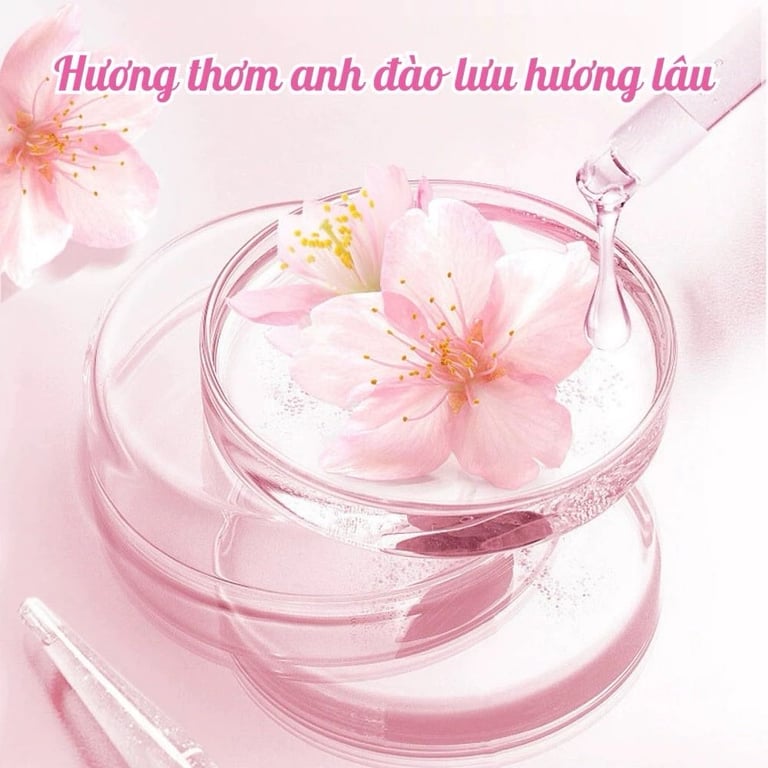 SET 2 HỘP HÚT ẨM 3IN1 – HỒNG NGỌT NGÀO & XANH MÁT LẠNH