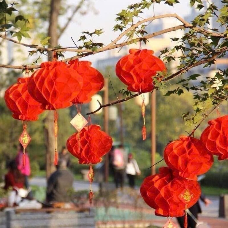 COMBO 20 LỒNG ĐÈN GIẤY ĐỎ 25CM