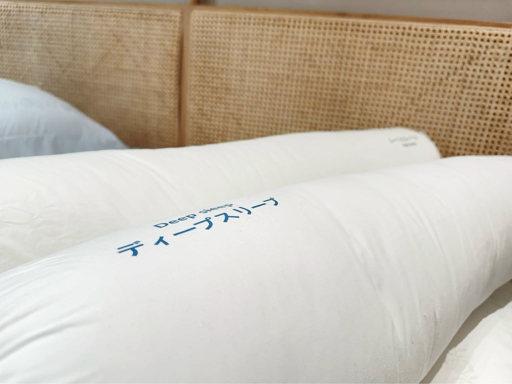 RUỘT GỐI ÔM TIÊU CHUẨN NHẬT