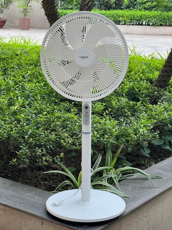 Quạt cây 7 cánh điều khiển từ xa Kaiyo Nhật 2024