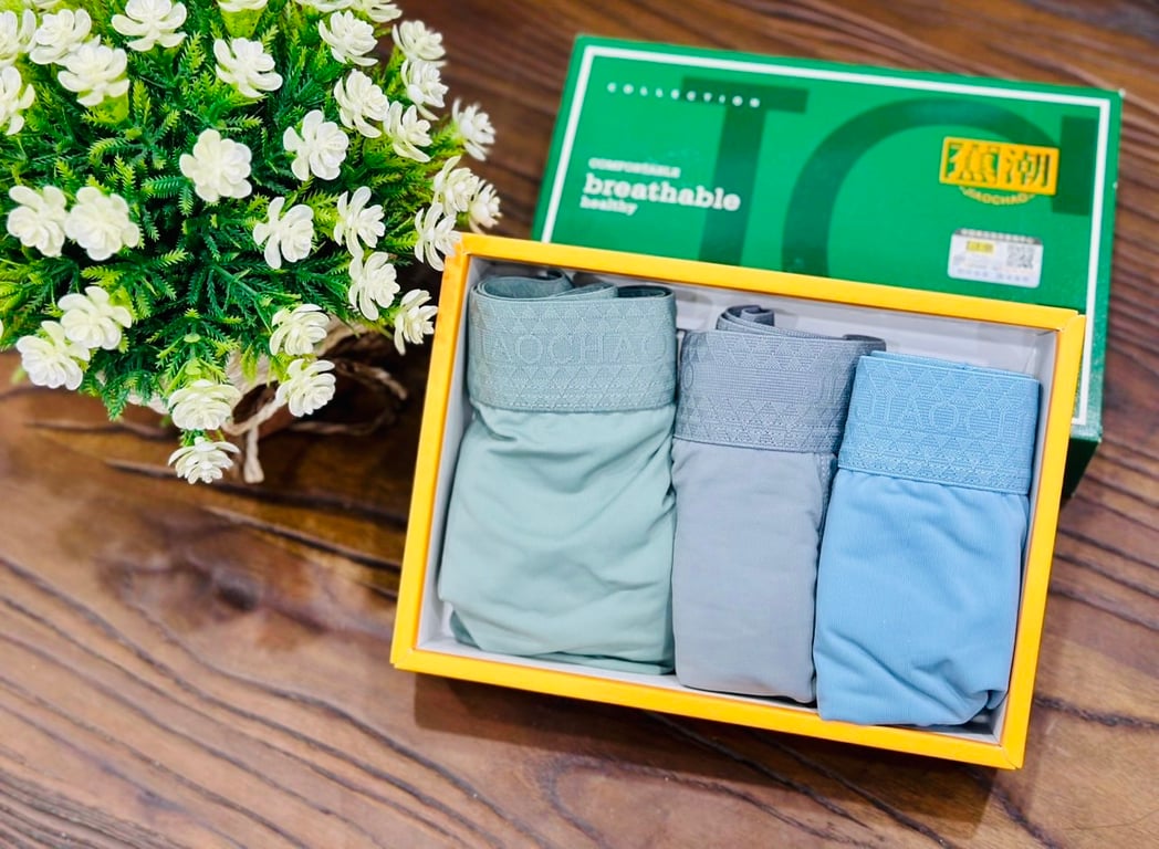 NC114 - SET 3 QUẦN LÓT NAM CAO CẤP COTTON LẠNH - CÓ HỘP ĐẸP!