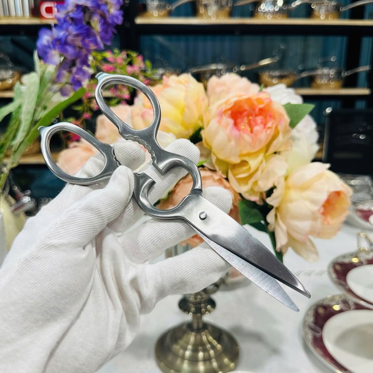 OYT694 - KÉO OYATTON XUẤT ẤN