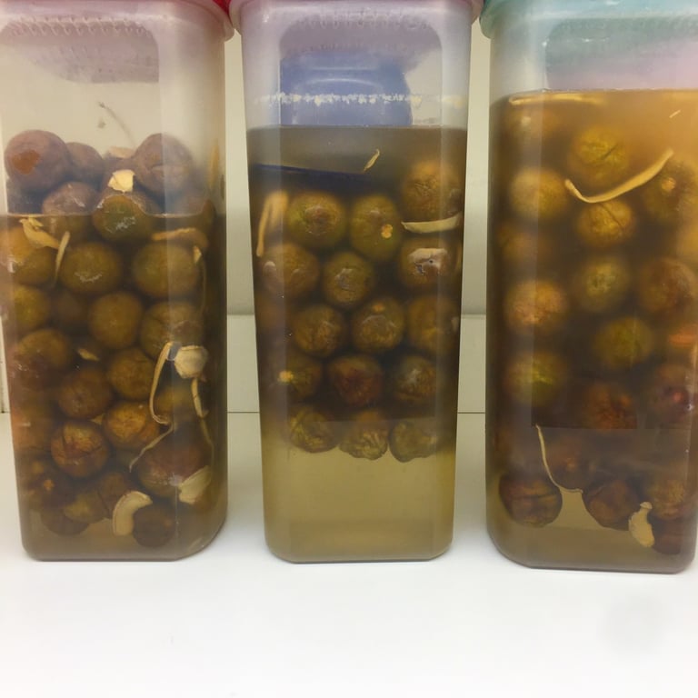 Set 2 hộp đựng nước tupper ware