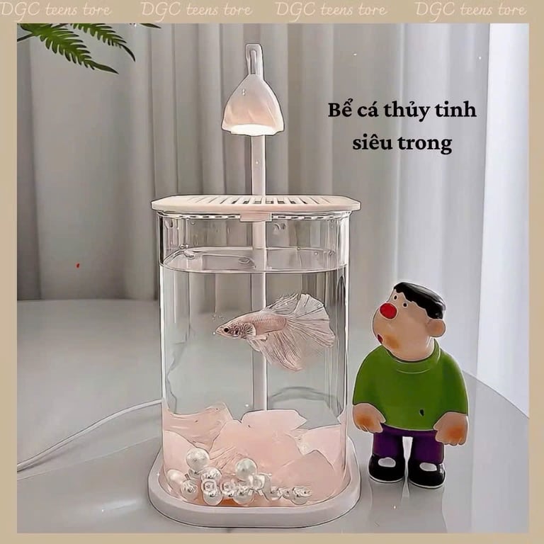 Bể cá mini để bàn