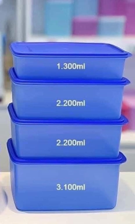 Tách set 4 hộp trữ mát mega