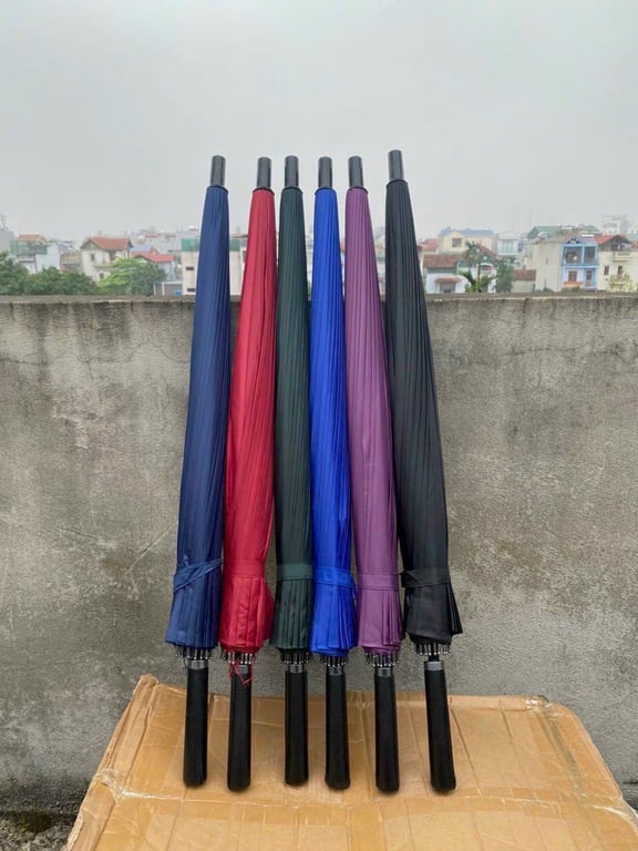 Ô cán dài phiên bản Hàn Quốc 24 nan chống lật rất chắc chắn