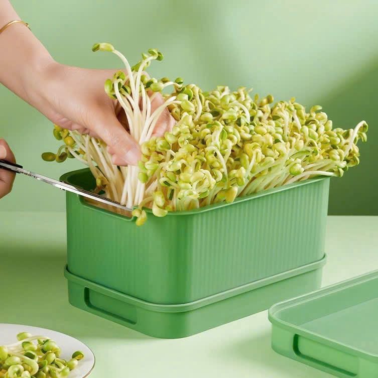 Set 2c Khay ươm mầm mini