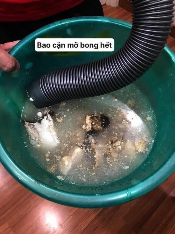 Chai nước THÔNG CỐNG, bồn cầu, bồn rửa bát #kaneyo NHẬT_BẢN