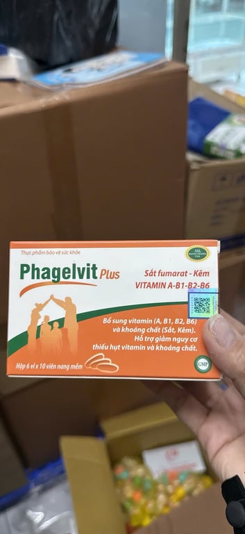 Phagel vit pluss h/60v pharvita