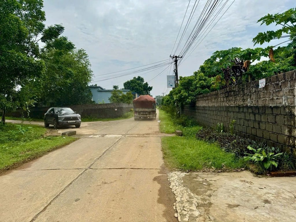 161m2 có 156m2 thổ cư tại Thanh Sơn, Lương Sơn, Hoà Bình, cách Hà Đông hơn 40km