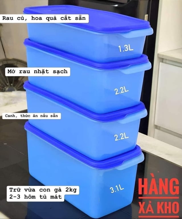 Tách set 4 hộp trữ mát mega