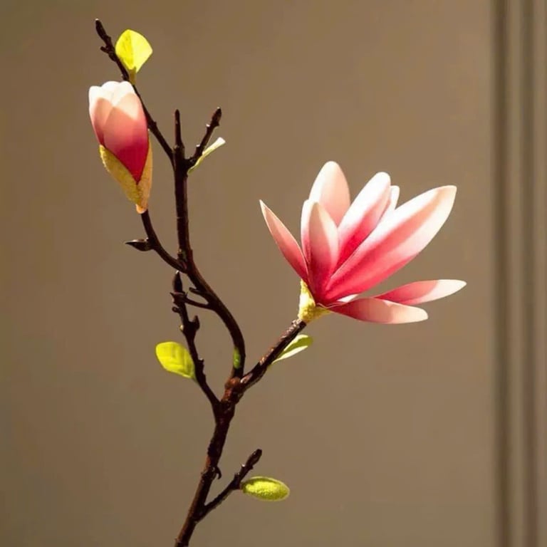 Cành Hoa Mộc Lan Kèm Lọ bằng gốm sứ xinh ơi là xinh