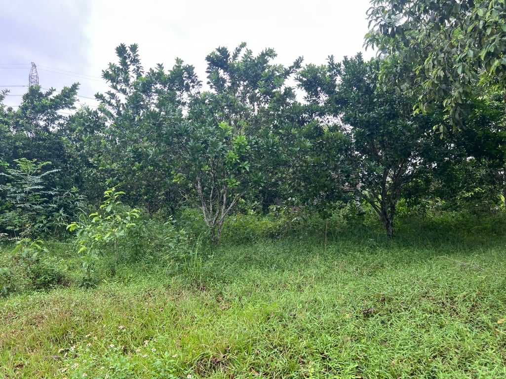 Ngọc Mỹ, Tân Lạc, Hòa Bình (8679m2)