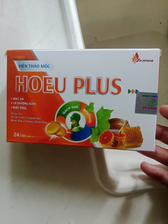 Ngậm ho hoeu plus h/24v