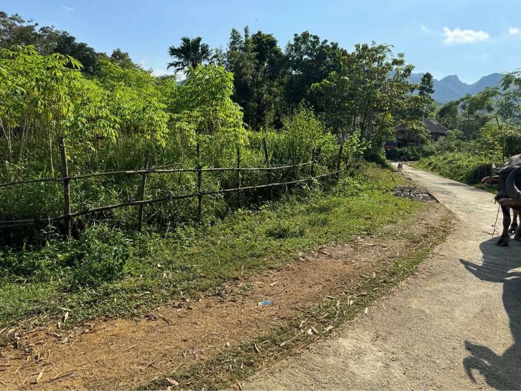 354m2 đất cây hàng năm có quy hoạch thổ cư tại Phú cường, Tân lạc, Hoà bình