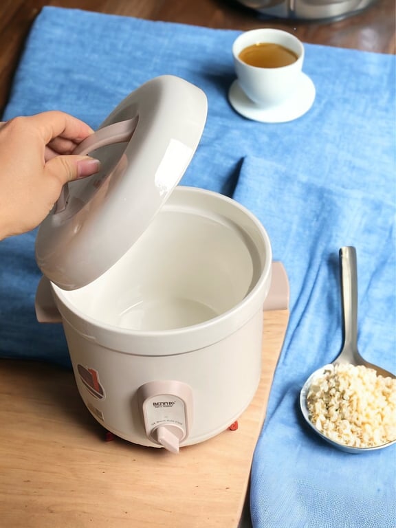 NỒI NẤU CHẬM 3 lít (THỐ TỬ SA) Bennix BN-68KC-G