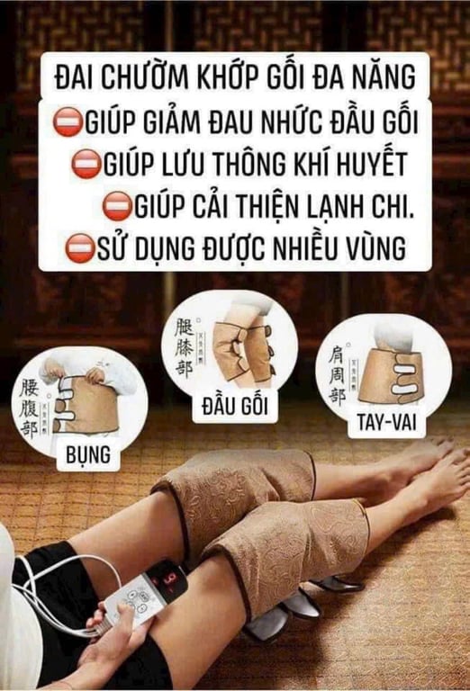 ĐAI CHƯỜM GỐI THẢO DƯỢC NGẢI CỨU ĐA NĂNG