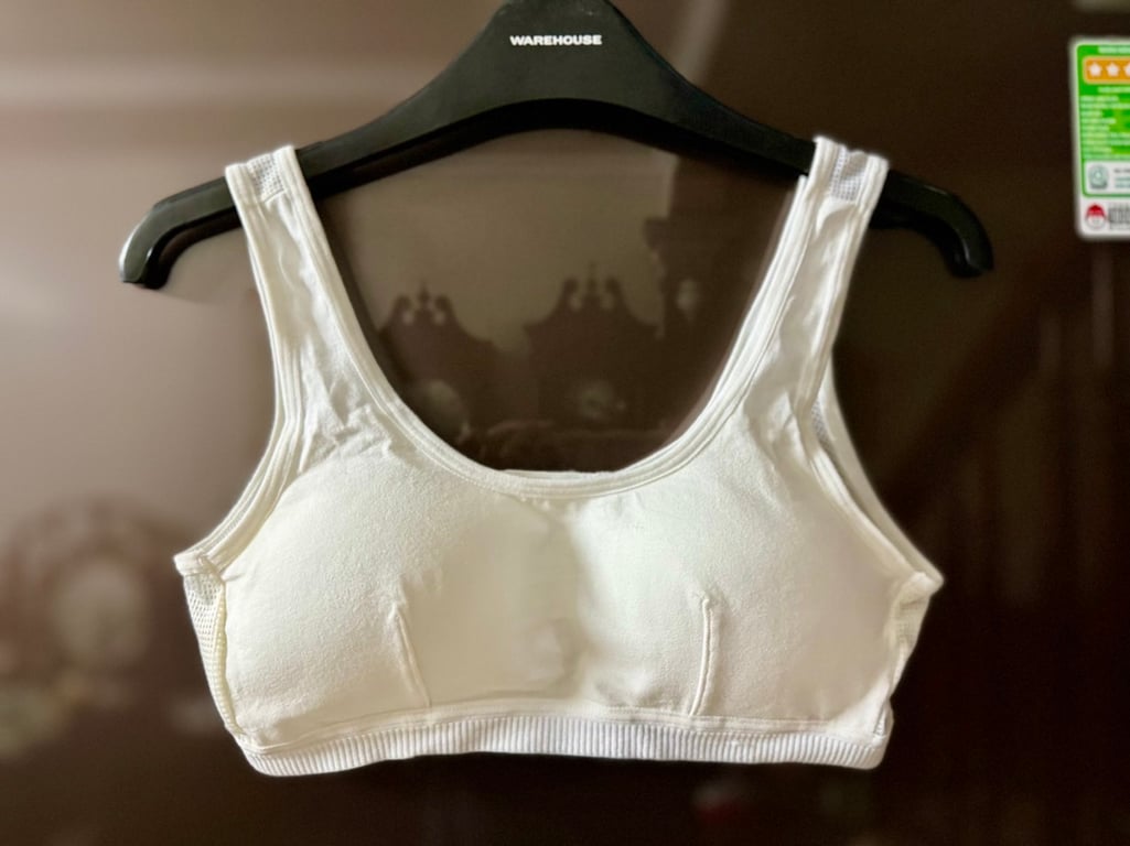 SET 3 ÁO LÁ HỌC SINH ĐỆM NGỰC THÔNG HƠi 💕