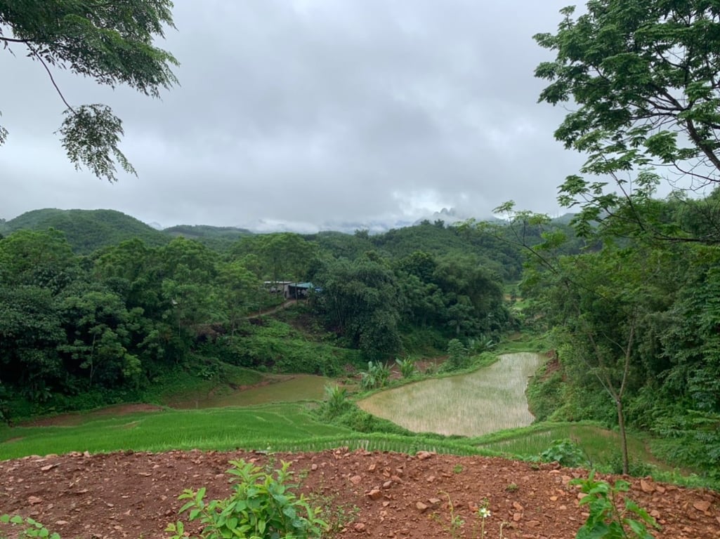 2300m2 có 400m2 thổ cư tại Phú Cường, Tân Lạc, Hoà Bình