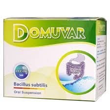 Domuvar h/