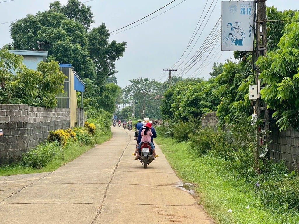 161m2 có 156m2 thổ cư tại Thanh Sơn, Lương Sơn, Hoà Bình, cách Hà Đông hơn 40km